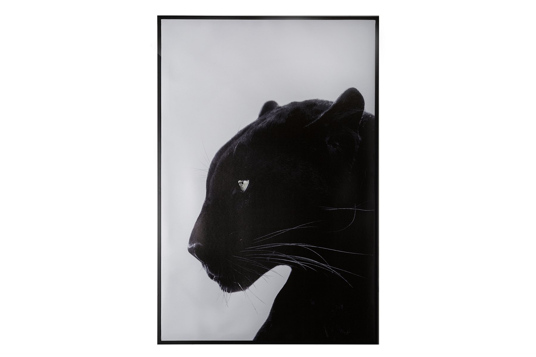 PANTHER FRAME CANVAS 60X90