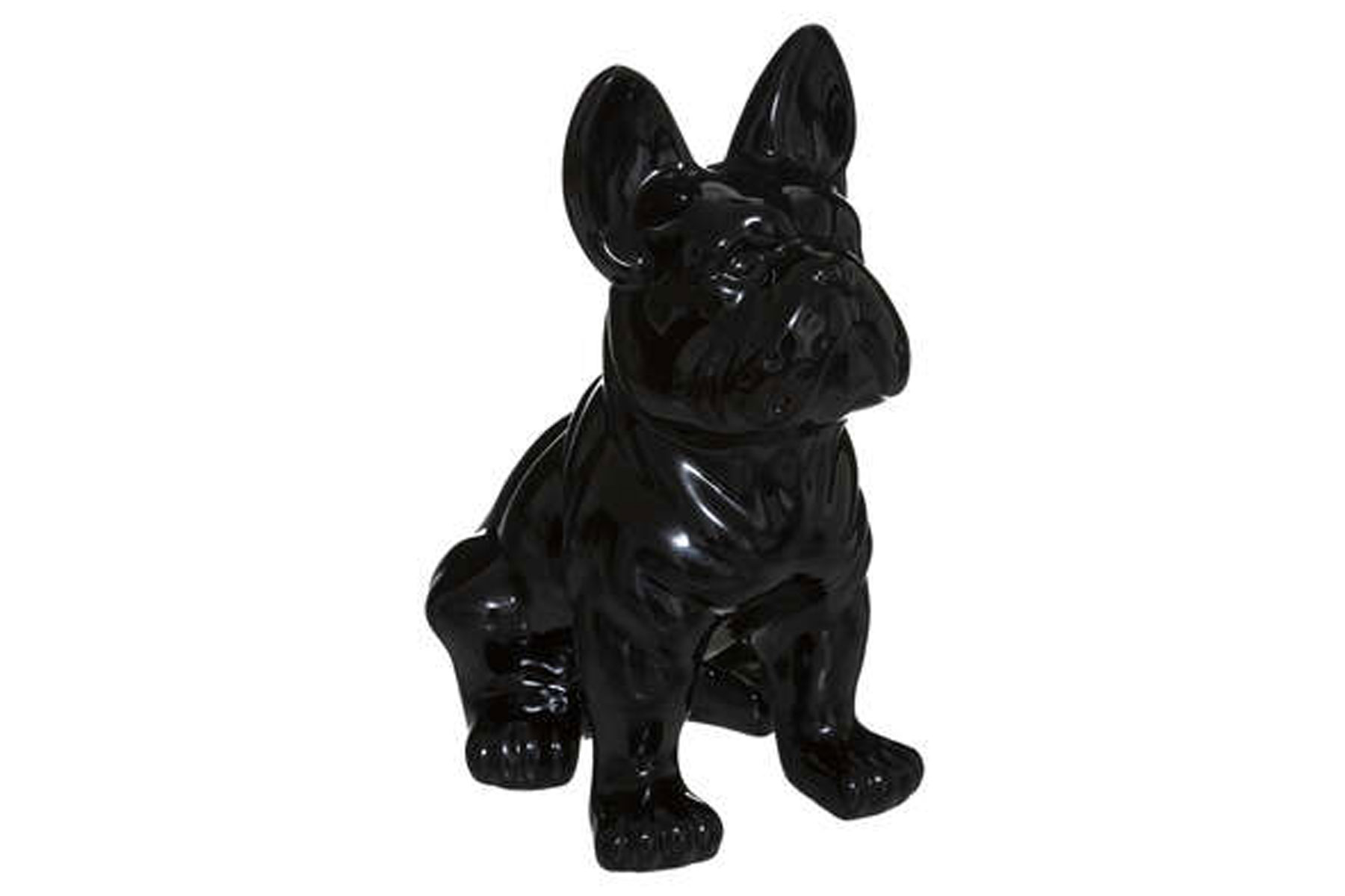 BLACK DOG H22