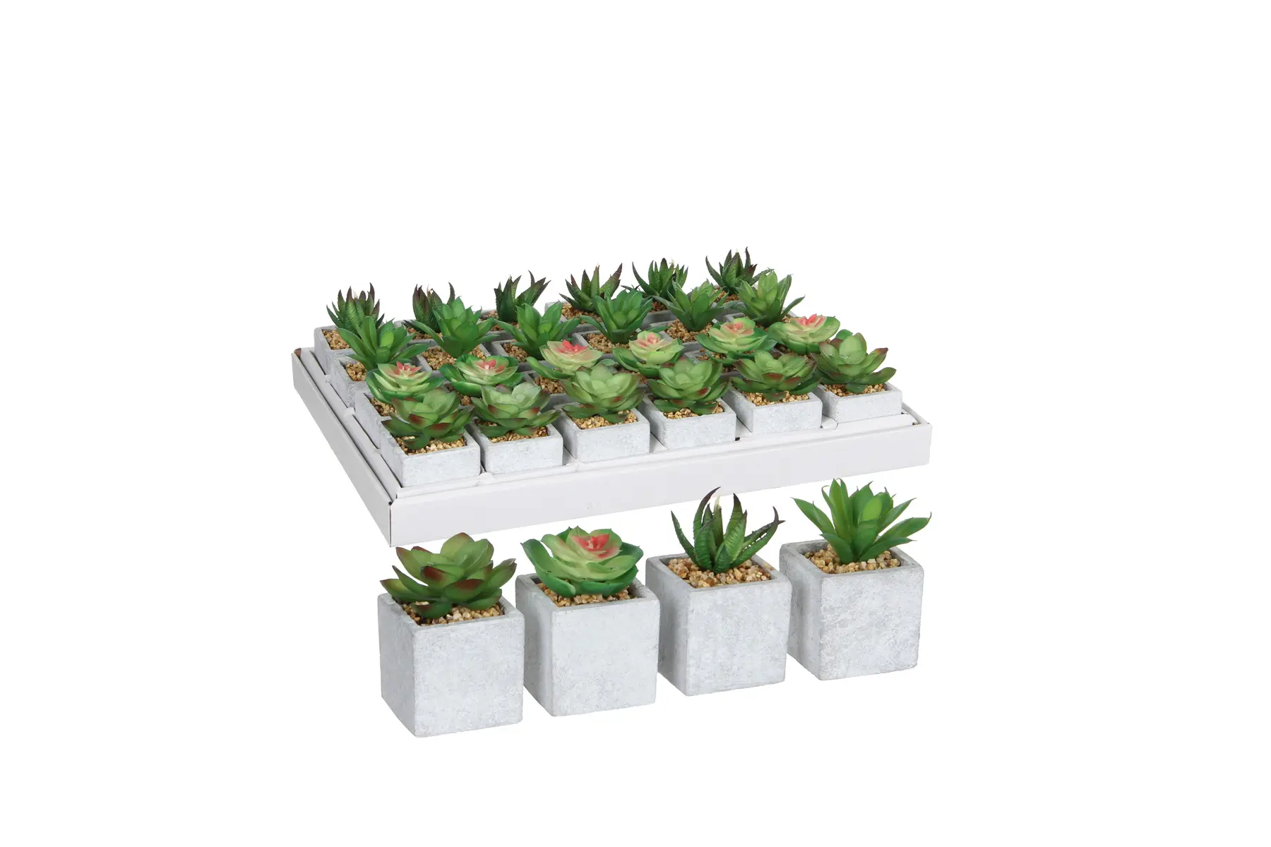 SUCCULENT IN POT GREEN H8xD5