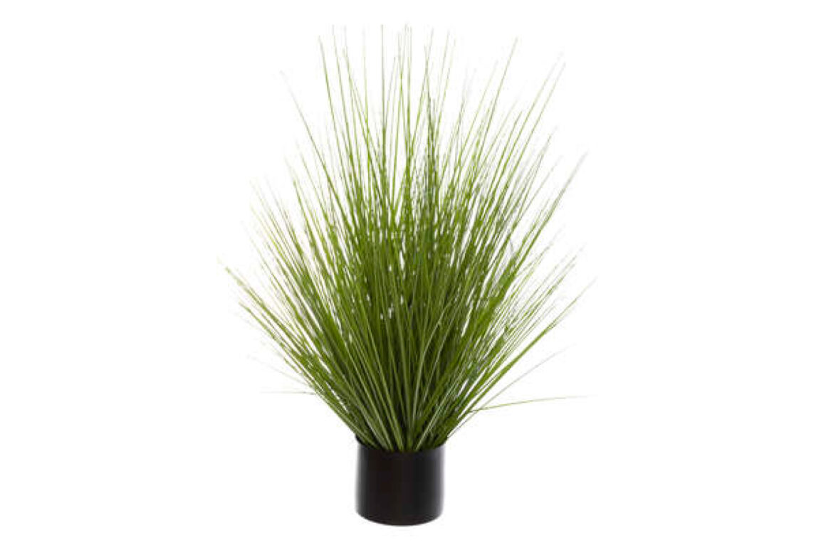GRASS BUNCH W PLASTIC POT H74