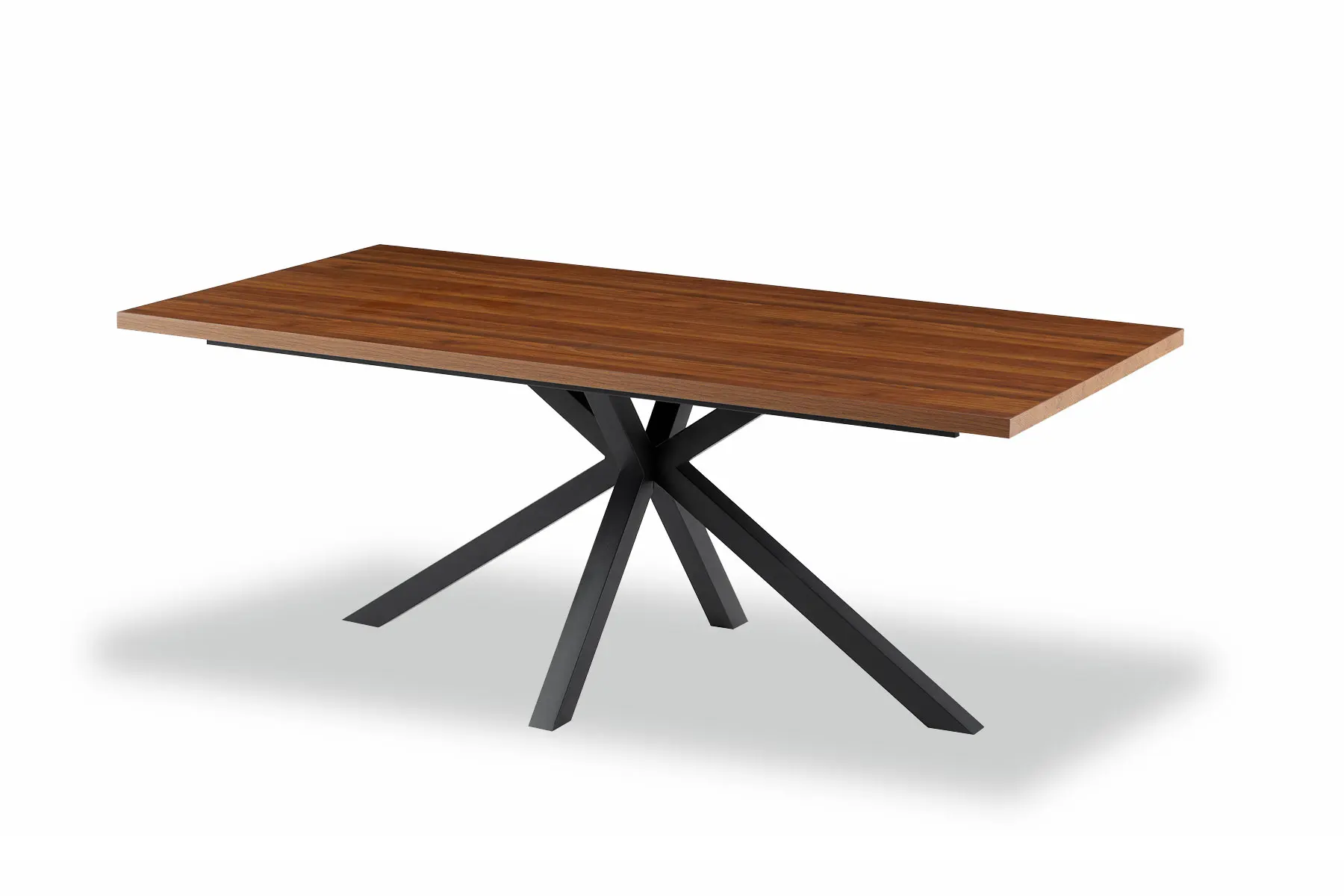 ROCHI Dining Table 200×100cm