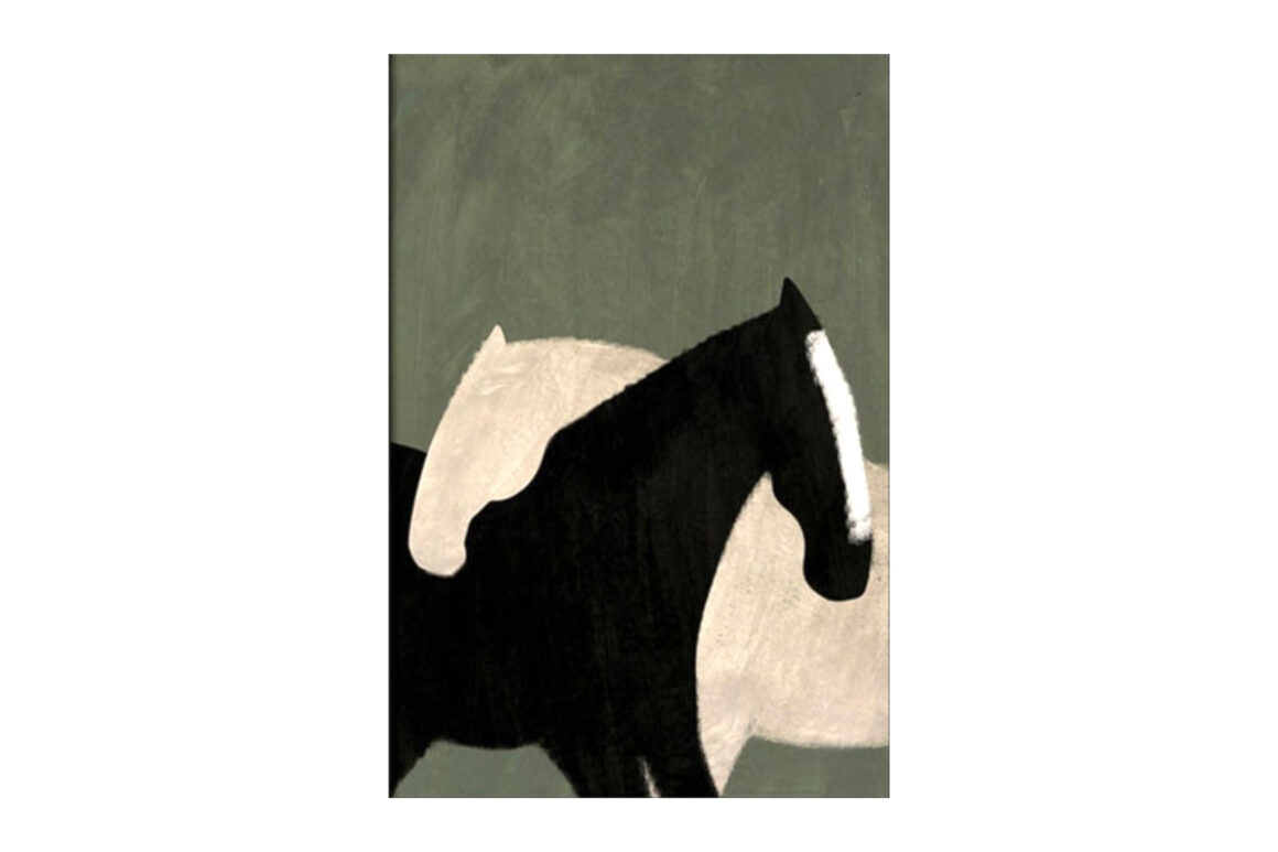 BLACK AND WHITE HORSE