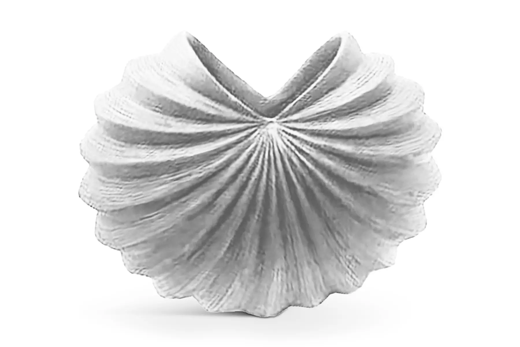 GALLINA BLANC VASE WHITE