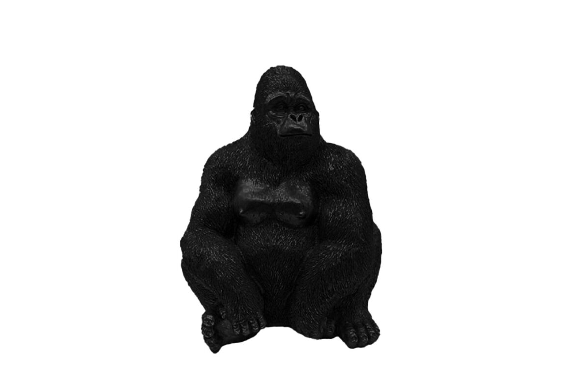 GORILLA BERINGEI D’COR
