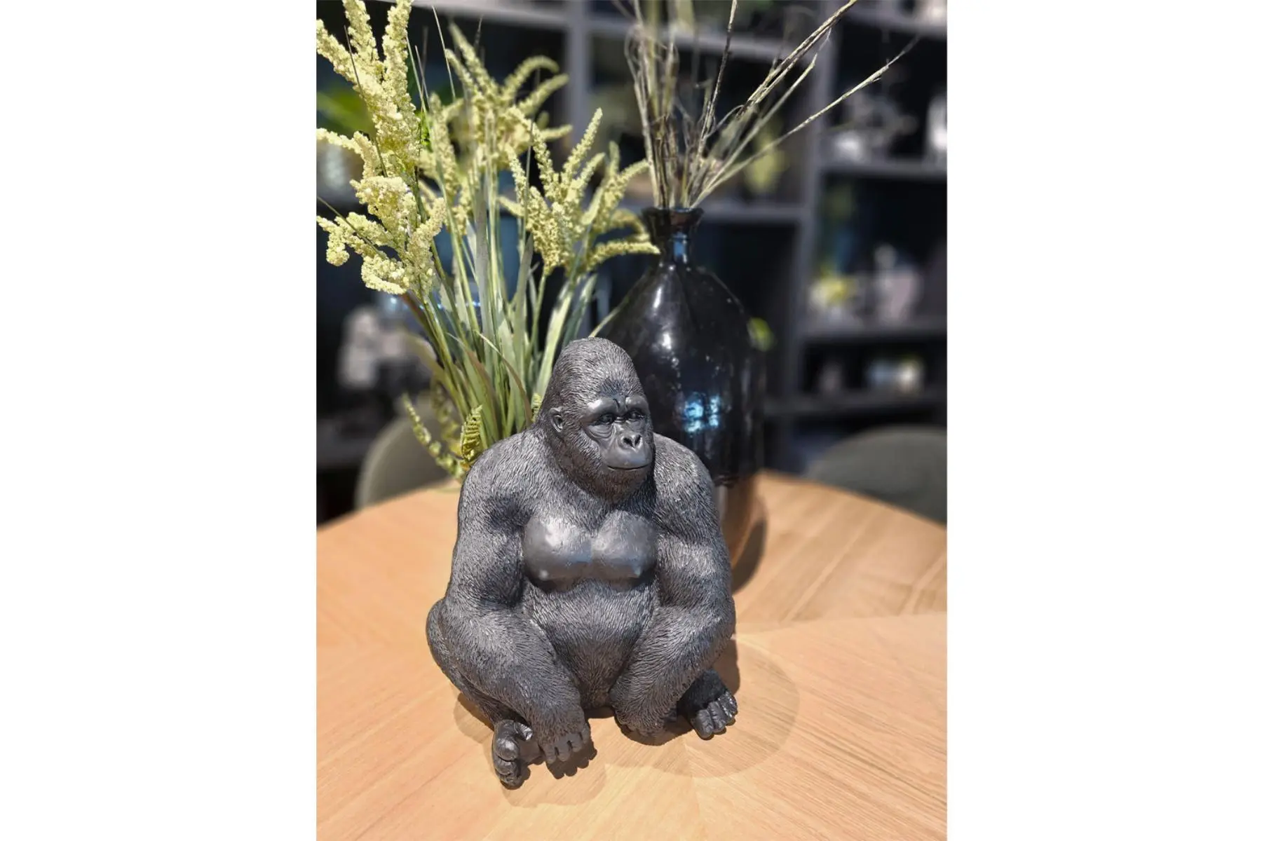 GORILLA BERINGEI D’COR