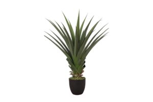 Artificial Plants