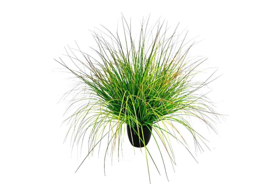 BENT GRASS 90 PVC GREEN