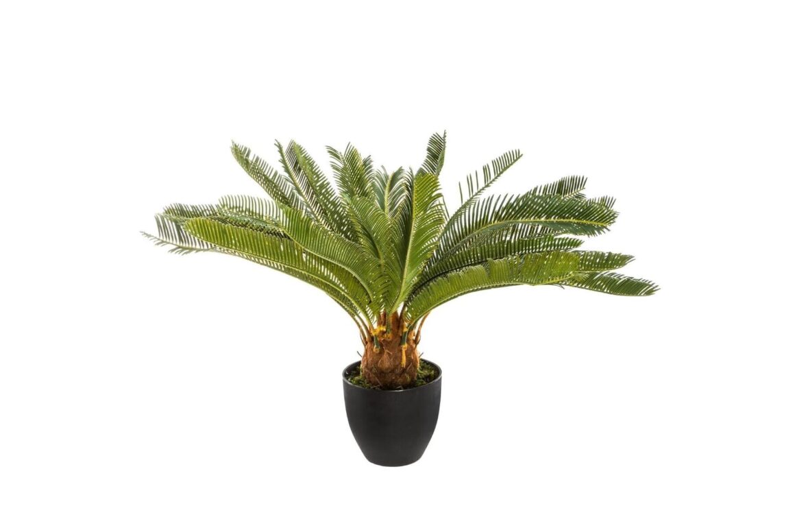 PINEAPPLE TREE H72MARQUE