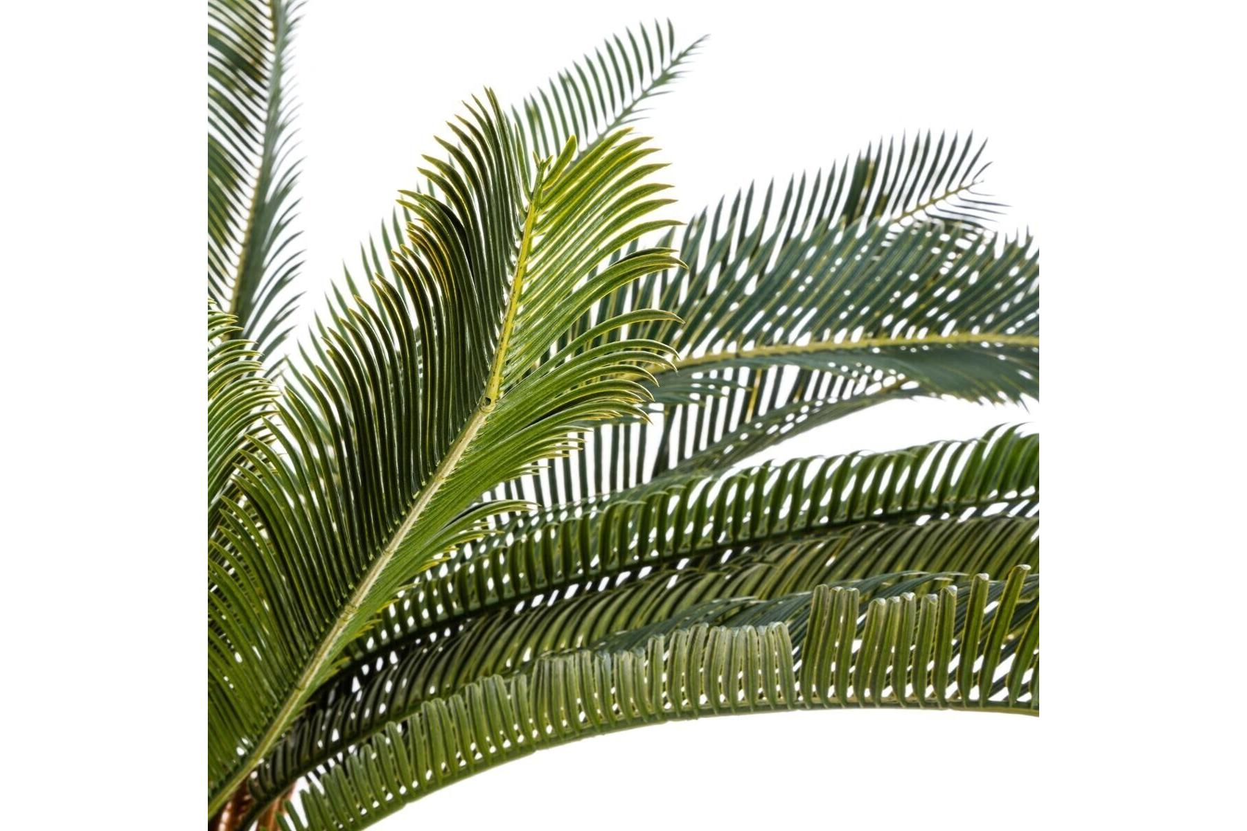 PINEAPPLE TREE H72MARQUE