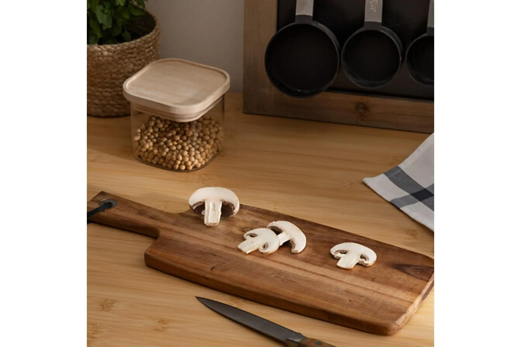 PRES PLATE ACACIA MINA 15X40M