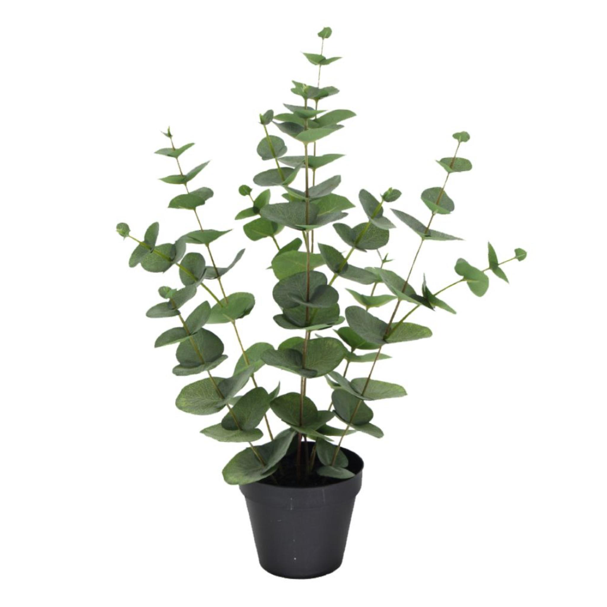EUCALYPTUS ARTIFICIAL PLANT