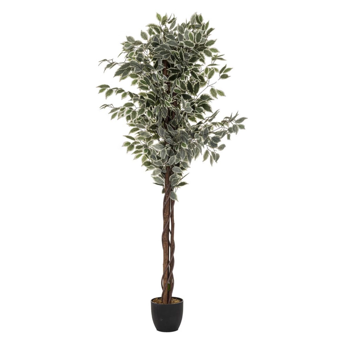 ARTIF FICUS BICO H180