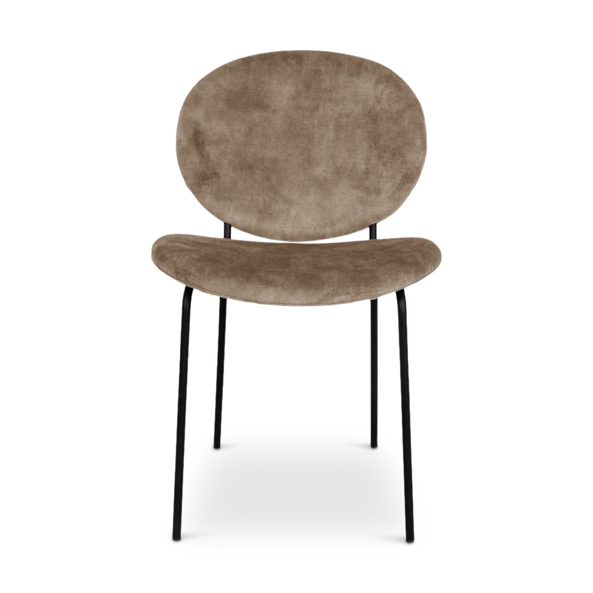 TOMARTO Dining Chair Gold Velvet